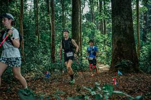 BIB: 
                            <button type="button" onclick="openModal(26133382)" class="btn btn-primary btn-sm float-right btn-popup" data-toggle="modal" data-target=".modal-high-quality">
                        <i class="fas fa-shopping-cart"></i> Add to Cart
                    </button>
                                            <button type="button" onclick="isThisMe(26133382, true)" class="btn btn-success btn-sm float-right btn-popup btn-isme hidden" data-toggle="tooltip" data-placement="bottom" title="นี่คือรูปของคุณใช่ไหม คลิกที่นี่เพื่อเอาเข้าอัลบั้ม">
                        <i class="fas fa-plus"></i> Add to album
                    </button>
                    <button type="button" onclick="isThisMe(26133382, false)" class="btn btn-warning btn-sm float-right btn-popup btn-isnotme hidden">
                        <i class="fas fa-ban"></i> Remove from album
                    </button>